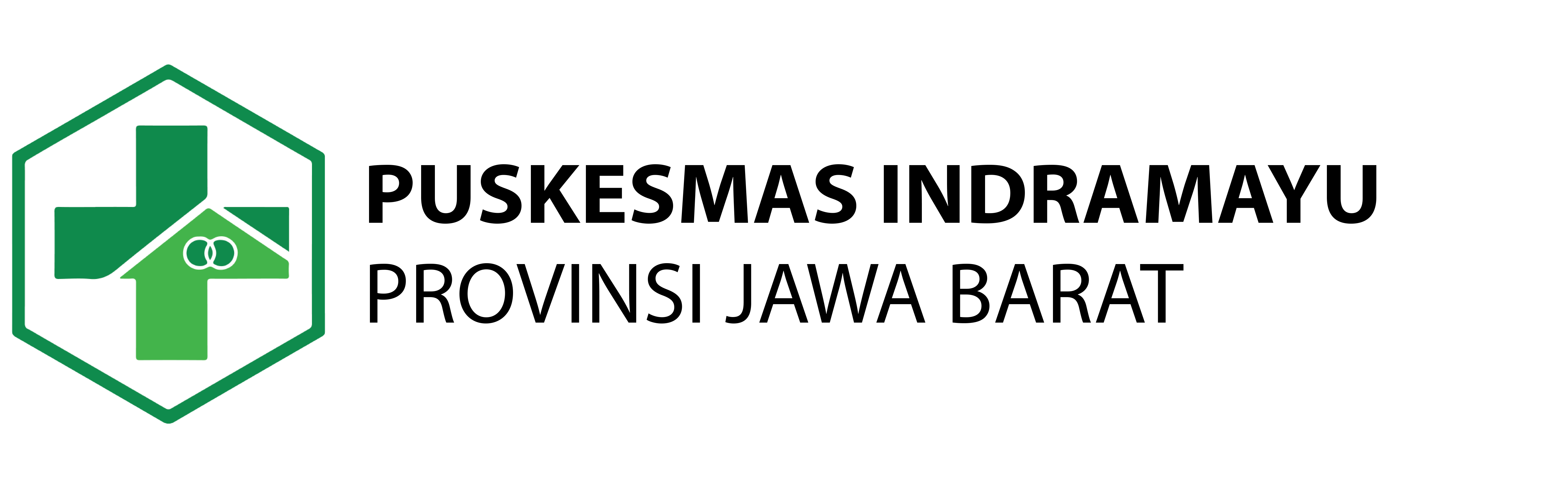 Logo Puskesmas